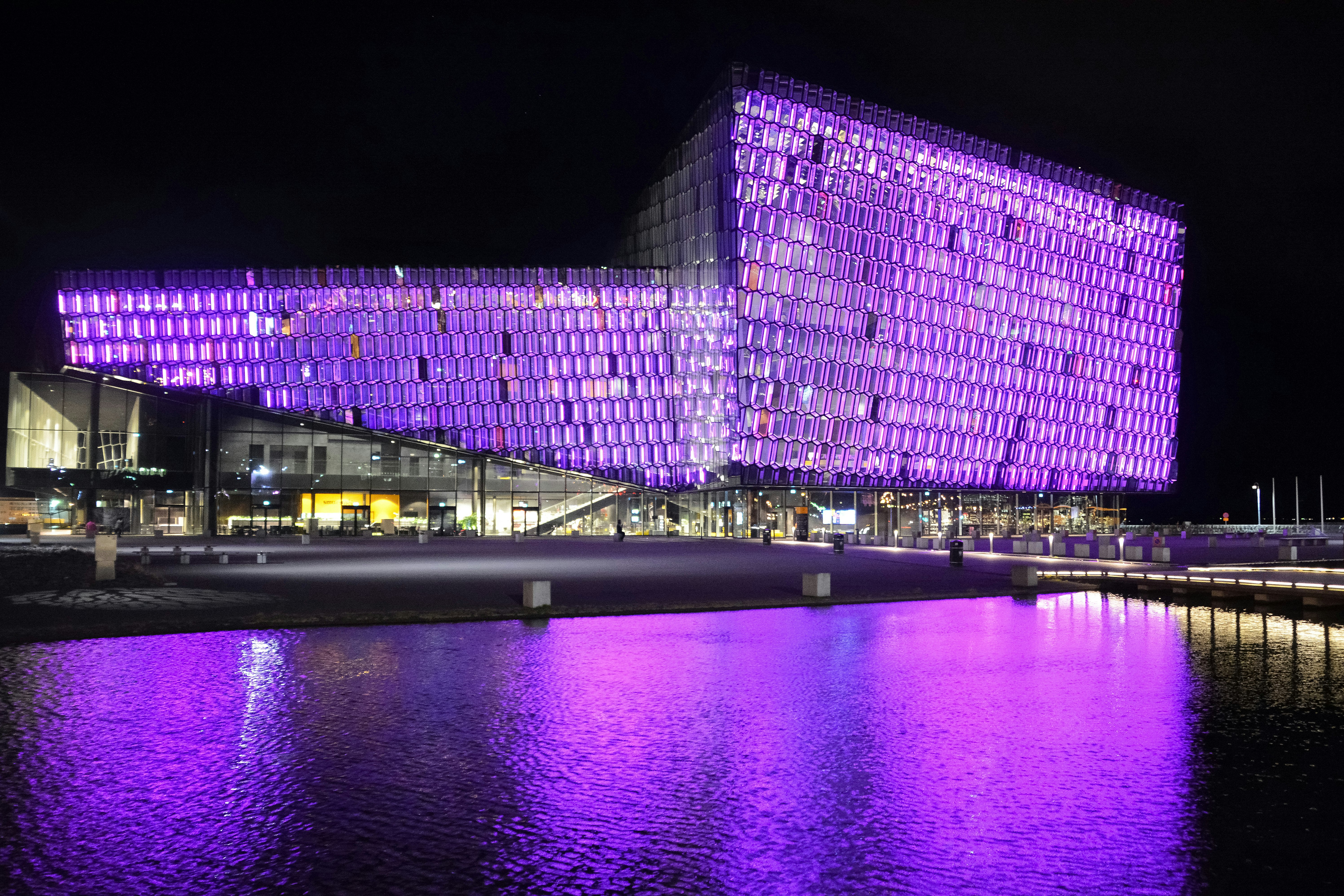 purple and black building near body of water during night time
